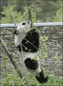 tumblr_o3mjwwXXpH1tlb56zo1_400