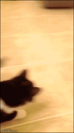 tumblr_o3piuqxGRZ1tlb56zo1_400