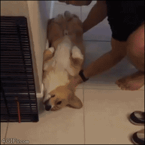 tumblr_o4e8t5ggOE1tlb56zo1_400