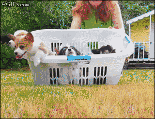 tumblr_o4g4f8ZUKc1tlb56zo1_400