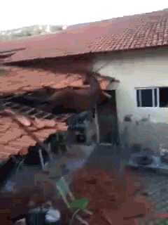 Конь на крыше