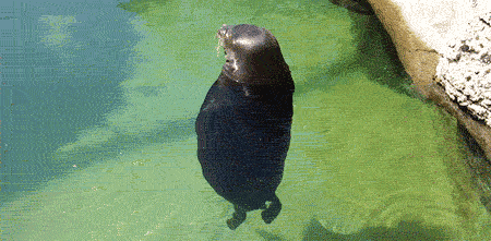 poooolnaya_bezmyatezhnost_yapfiles.ru_yapfiles.ru