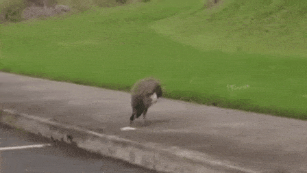 1458840361-b51281817dfc9327f1386d1538b13983