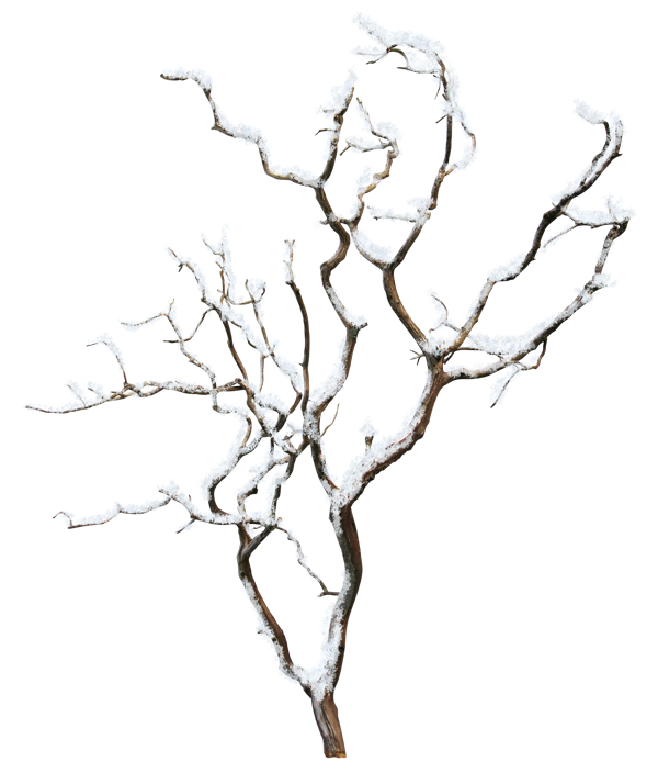 0_cbb24_1056f882_orig