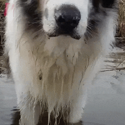 1459323861-2409169ada4a9bb2050a2a649d2aafc9