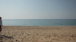 24f1e86275d39cd3928ab38029b17af1