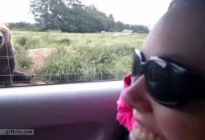 1459342617-91cb02ef1d395eb142a0b316801ec1f6