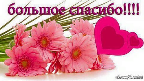 128816637_11203046_392734694269165_3266957664601376847_n