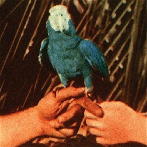 Andrew Bird - Are You Serious [Deluxe Edition] (2016)