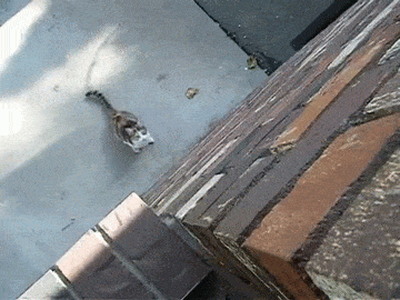 1459618697-130699eed78e4497bb2895fda23f7377