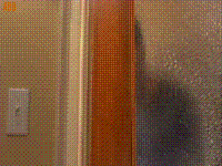 c537c9348cb5fe4b4fcb26a4dcecc9d0_yapfiles.ru