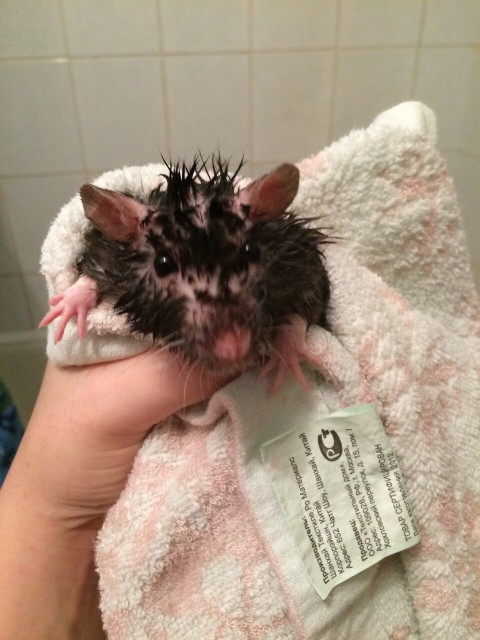 image-1d48af0da8bf04b4072a8f7bfcb4a0e98e71a9c6508dd13fc3453c79998e54aa-V