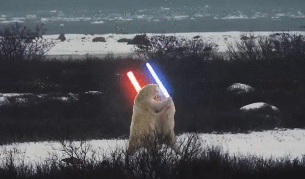 gifs_08vv