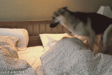 1459961287-5ad4a728ece55e8e706af01a88e3cccb