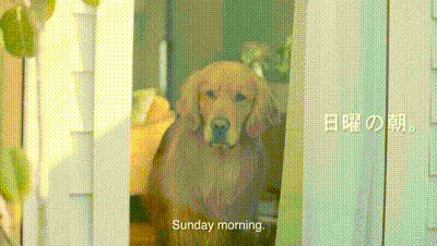 1460227844-5789f915fb7b399a0434320f736f6355