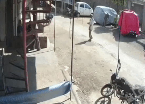 Охуевший макак!!