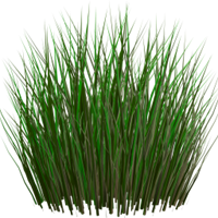 grass-png-image-green-grass-png-picture-01-01-2015_19_04_07