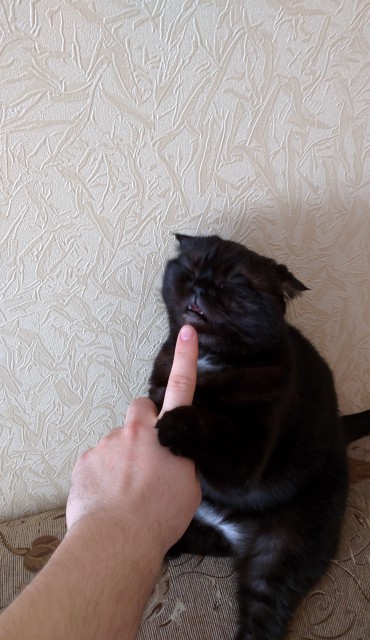 IMG_20160411_093037 (1)