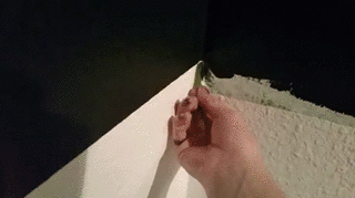 1460541957171512416