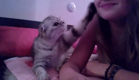 -девушка-поцелуй-гифки-3025699