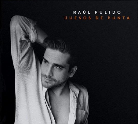 Raúl Pulido - Huesos de punta (2016)