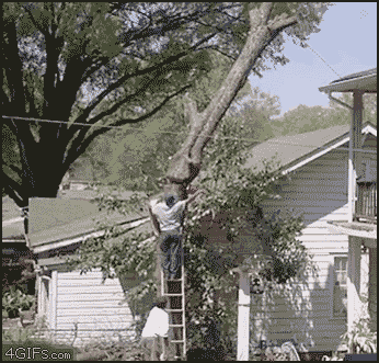 рубят дерево