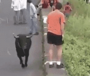 1461051848-5d5bfe81ed69ca12c8916059237eb104