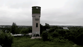 Fungif_20