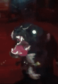 Fungif_22