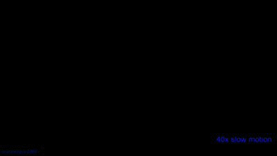 Fungif_29