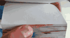 Fungif_32
