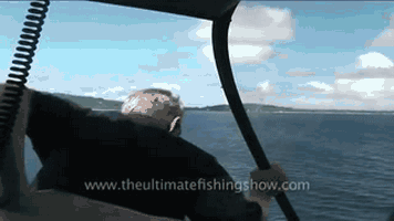 Fungif_38