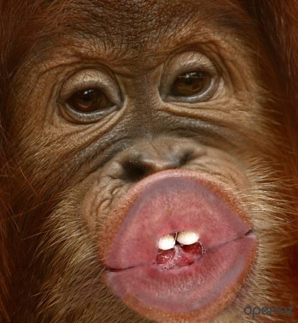 post-11518550-0-78519900-1423668164