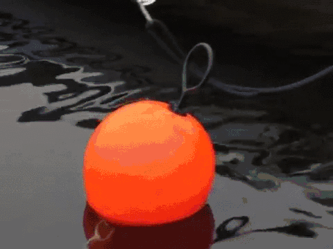 1460839260-f233037667a186fe49d0481f318e7163