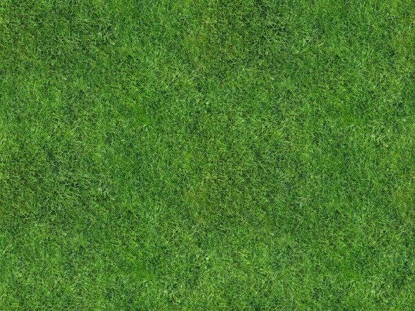 trava_grass_gazon_lawn-600x450