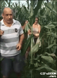 3758230845460_1460812613_15