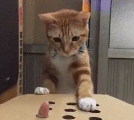 31d121be3d6f173b054de7ee7c7c5bd0