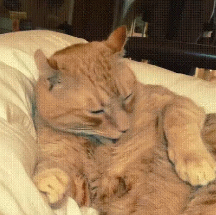 b73c1459d9bccfef1f4b14f2079