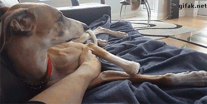 292fda291f3fa0a710c8310ed54