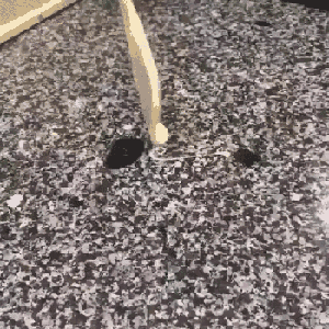 gifs_21 (22)
