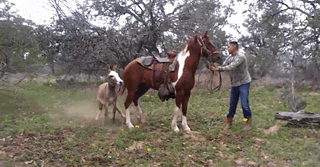 47dac1d145f464f05af7fa8b90edf139