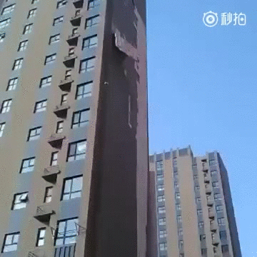 -линька-3056416