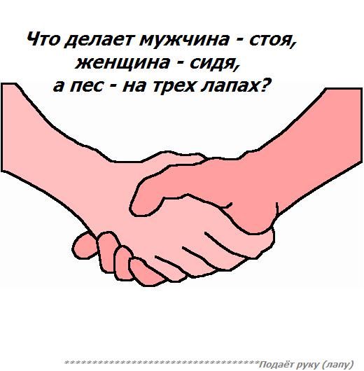 img_16609868_1557_2