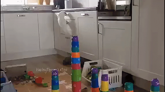 IMG_20160428_210747_0