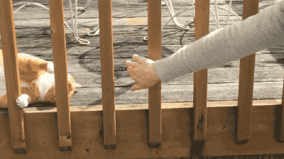 ab8ed9a8a68759e162aee4af3aa