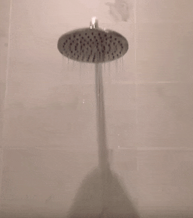 -душ-собакен-3059259