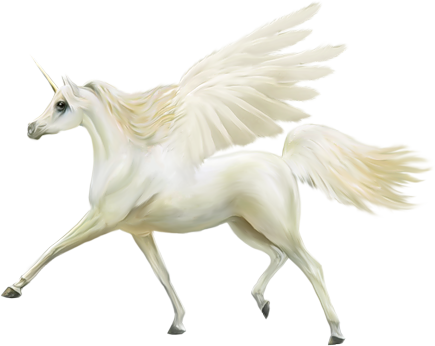 0_11850c_8009699b_orig