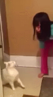 1462021541-f9926f0eeb25f66147195ef925ff143d