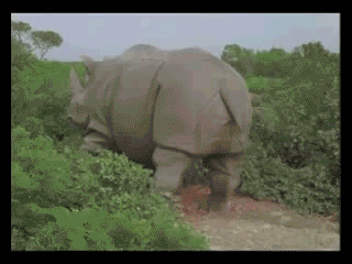 -тойота-672900