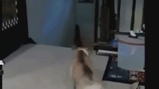 ezgif.com-video-to-gif(1)